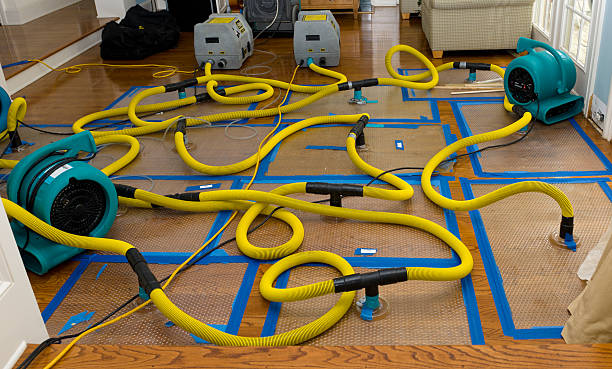 Professional Crawl Space Water Removal technician working in Buckner, MO
